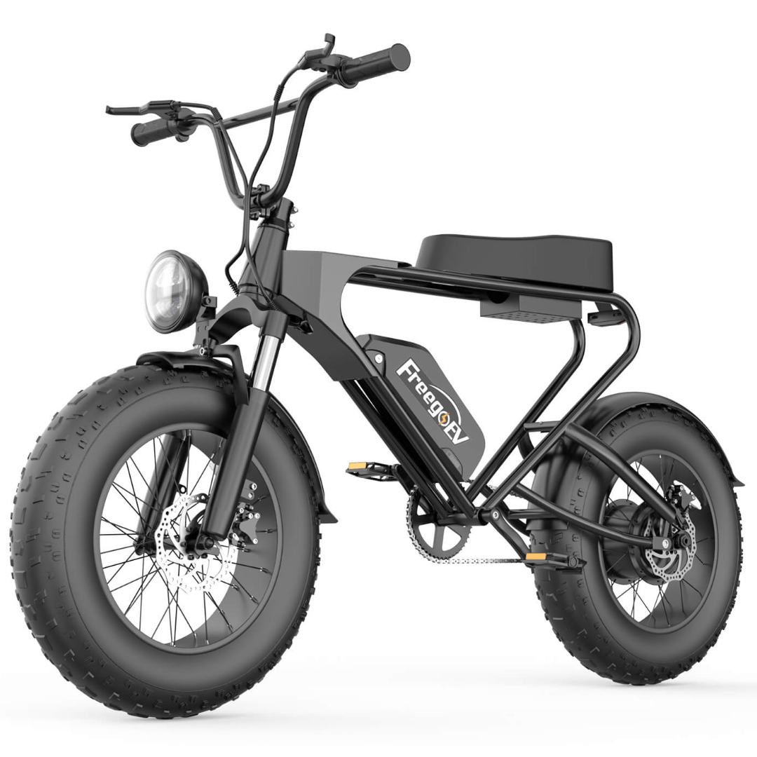 Freego DK200 Off Road Mountain Electric Bike 20'' Fat tires 20Ah Lithium Battery,range (km): 40km -50km,Max Speed: 25km/h,DK200,DK201.