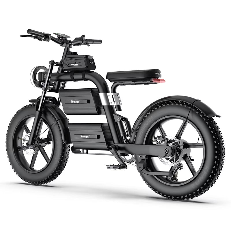 Freego E20 Dual Battery Fat-tire Electric Bike,E20.