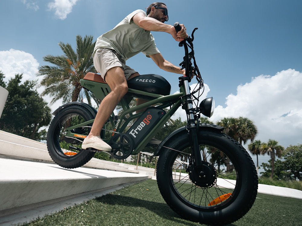 Freego Flash F3 Pro Dual Motor and Battery eBike,Speed: 35 mph,Range: 44–56 mi,F3-g-2.