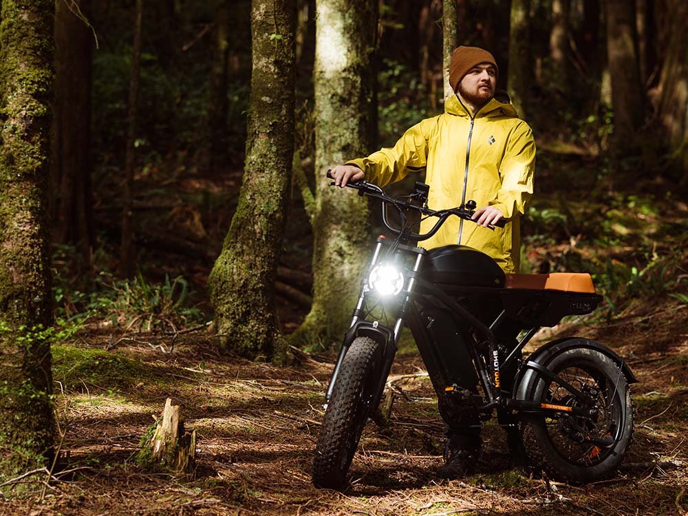 Freego Flash F3 Pro Max Dual Motor and Battery eBike,Range: 55–70 mi,Speed: 20 MPH,F3 pro MAX-b-2.