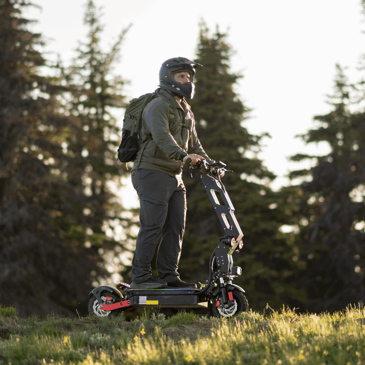 Freego D11 Landtiger Electric Scooter Foldable Dual Motor 4000W, speed 28mph ,Range 50 miles,D11.