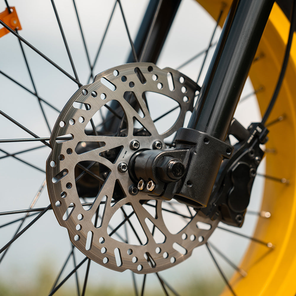 HappyRun G100 Pro 6000W Electric Bike