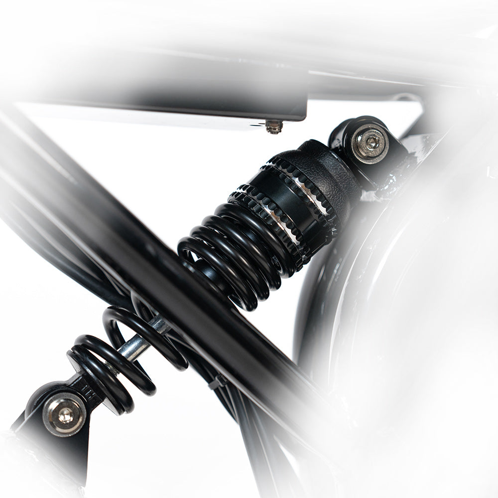 2025 NEW HappyRun G70 2000W Dual Battery Fast Electric Cargo Bike for Sale