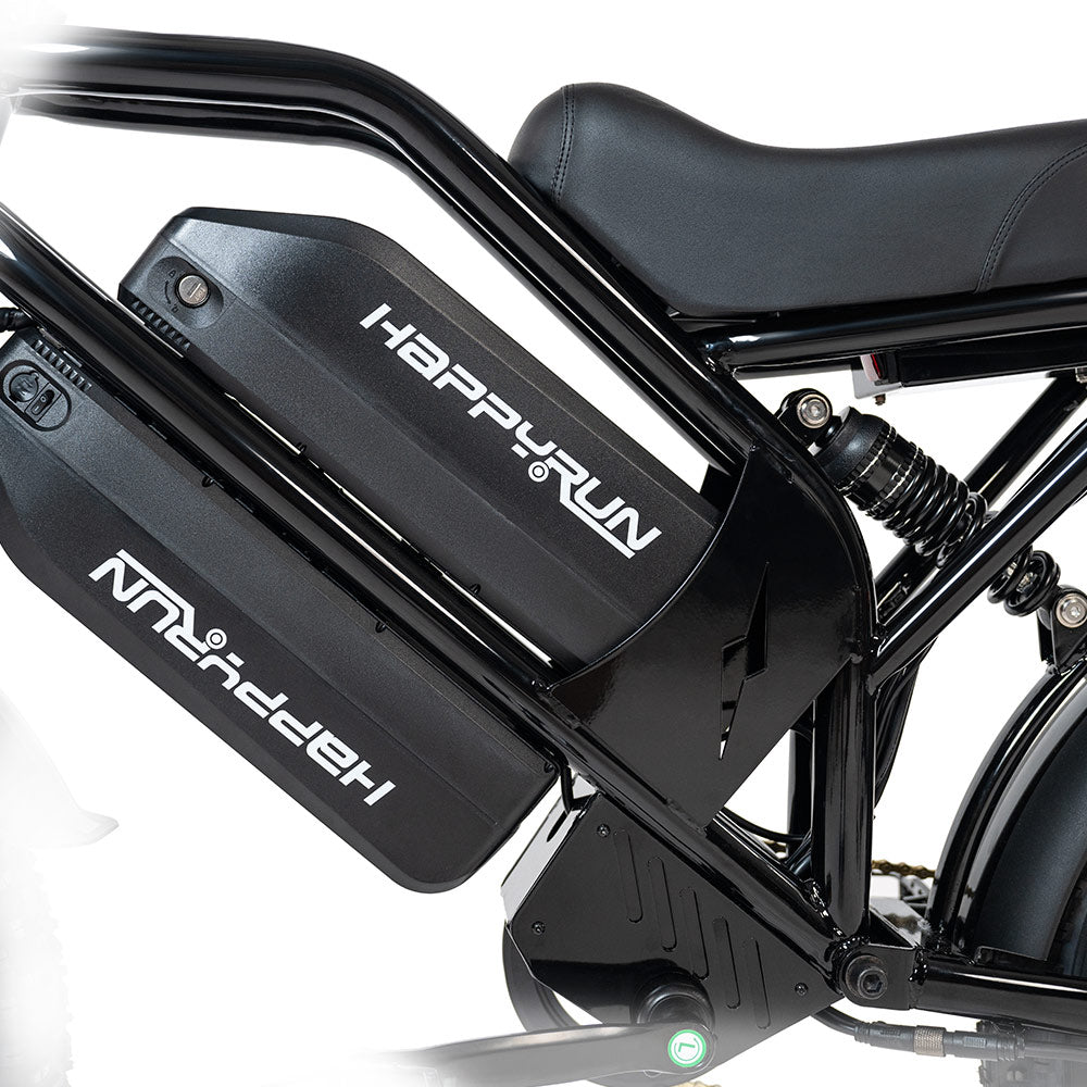 2025 NEW HappyRun G70 2000W Dual Battery Fast Electric Cargo Bike for Sale