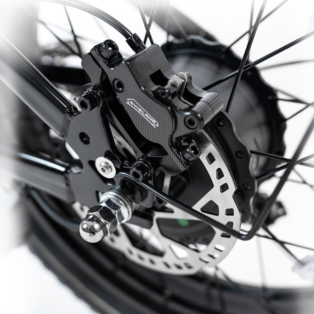 2025 NEW HappyRun G70 2000W Dual Battery Fast Electric Cargo Bike for Sale