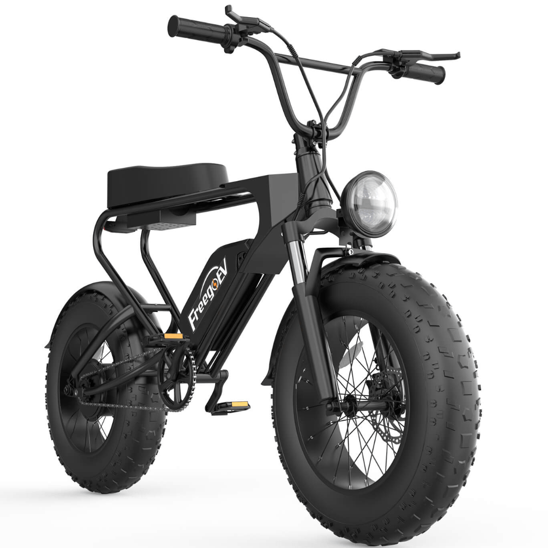 Freego DK200 Off Road Mountain Electric Bike 20'' Fat tires 20Ah Lithium Battery,range (km): 40km -50km,Max Speed: 25km/h,DK200,DK201.