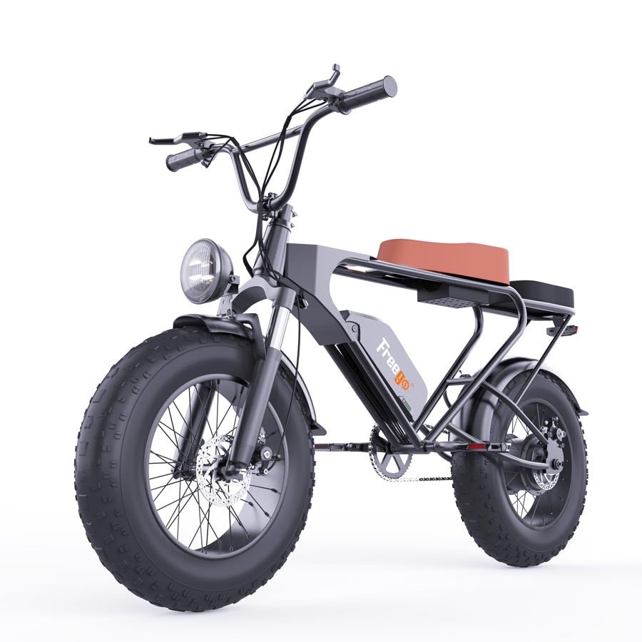Freego DK200 Off Road Mountain Electric Bike 20'' Fat tires 20Ah Lithium Battery,range (km): 40km -50km,Max Speed: 25km/h,DK200,DK201.