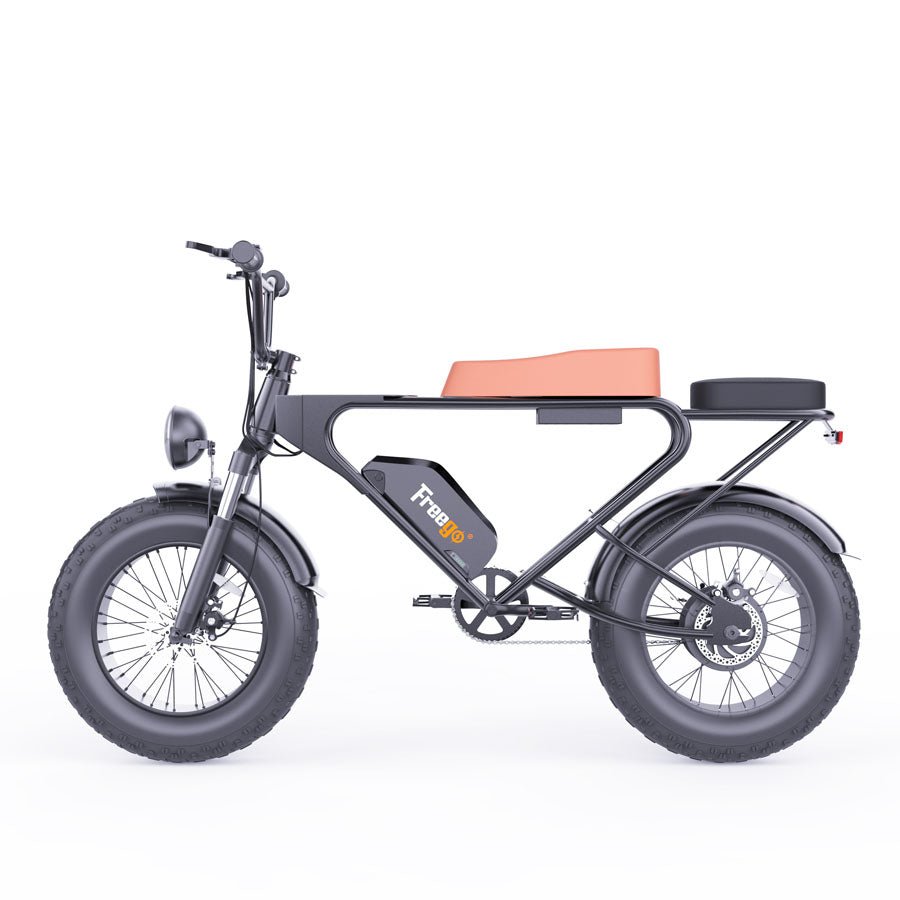 Freego DK200 Off Road Mountain Electric Bike 20'' Fat tires 20Ah Lithium Battery,range (km): 40km -50km,Max Speed: 25km/h,DK200,DK201.