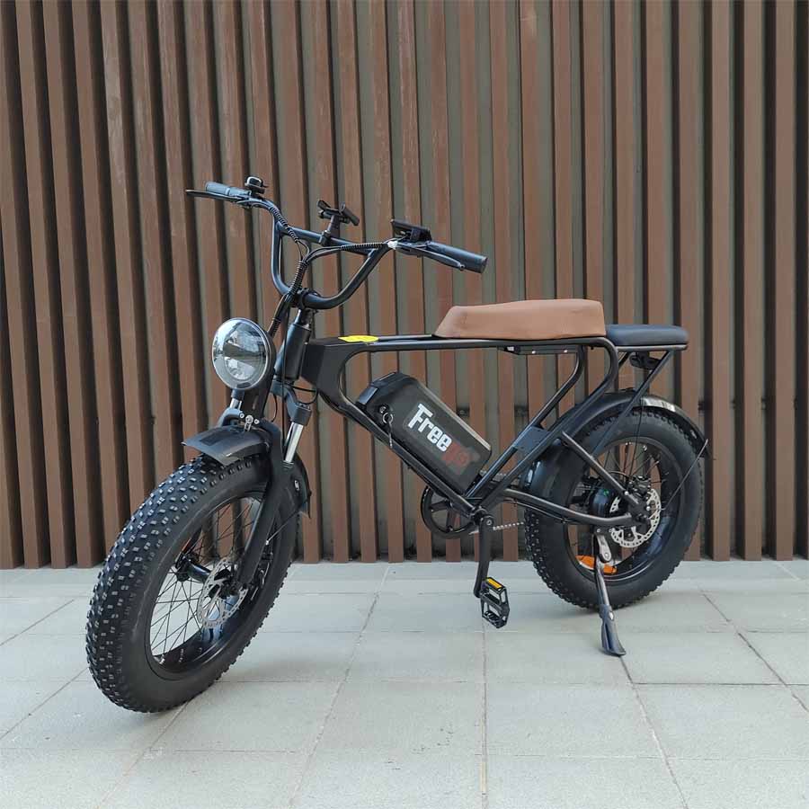 Freego DK200 Off Road Mountain Electric Bike 20'' Fat tires 20Ah Lithium Battery,range (km): 40km -50km,Max Speed: 25km/h,DK200,DK201.