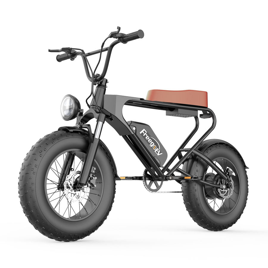 Freego DK200 Off Road Mountain Electric Bike 20'' Fat tires 20Ah Lithium Battery,range (km): 40km -50km,Max Speed: 25km/h,DK200,DK201.