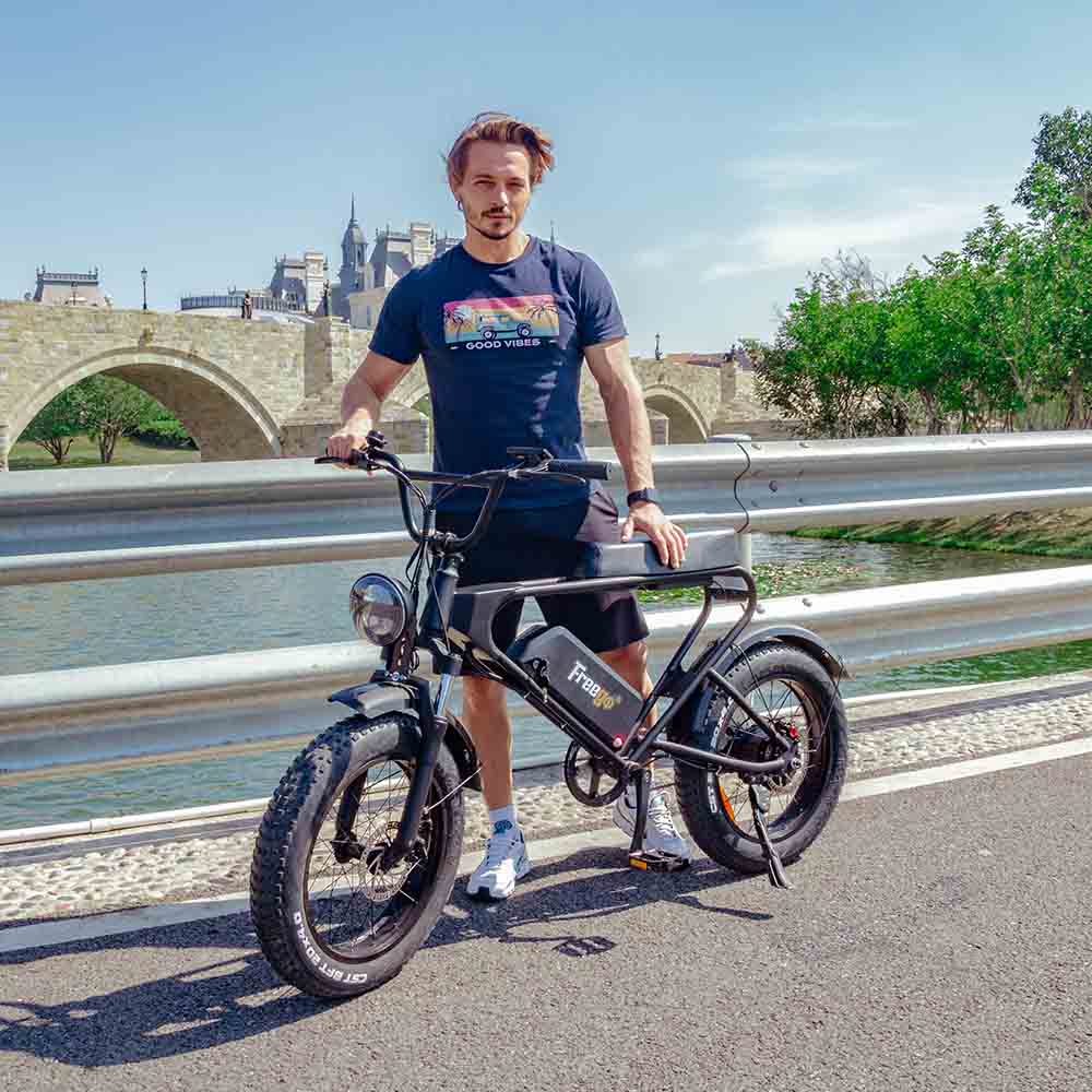 Freego DK200 Off Road Mountain Electric Bike 20'' Fat tires 20Ah Lithium Battery,range (km): 40km -50km,Max Speed: 25km/h,DK200,DK201.