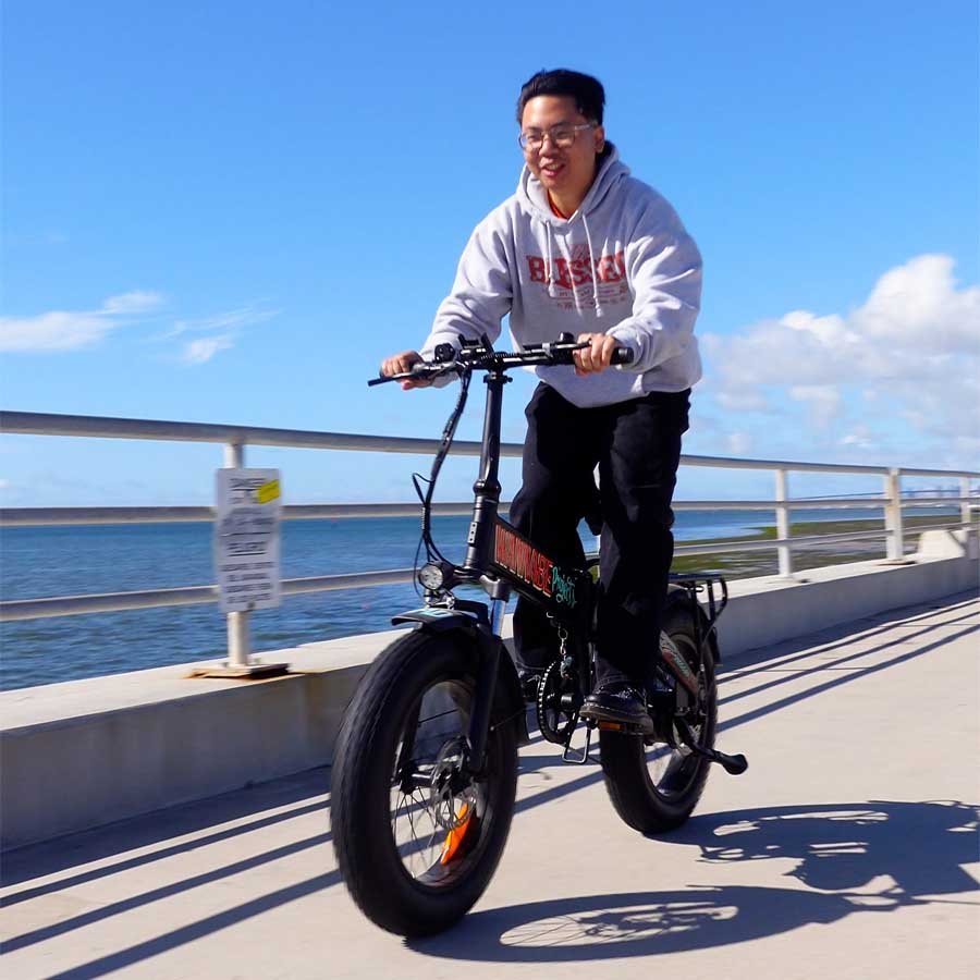Freego eFlex Raptor E1 Shimano 7-Speed Foldable Fat Tire City Electric Bike,E1-1.