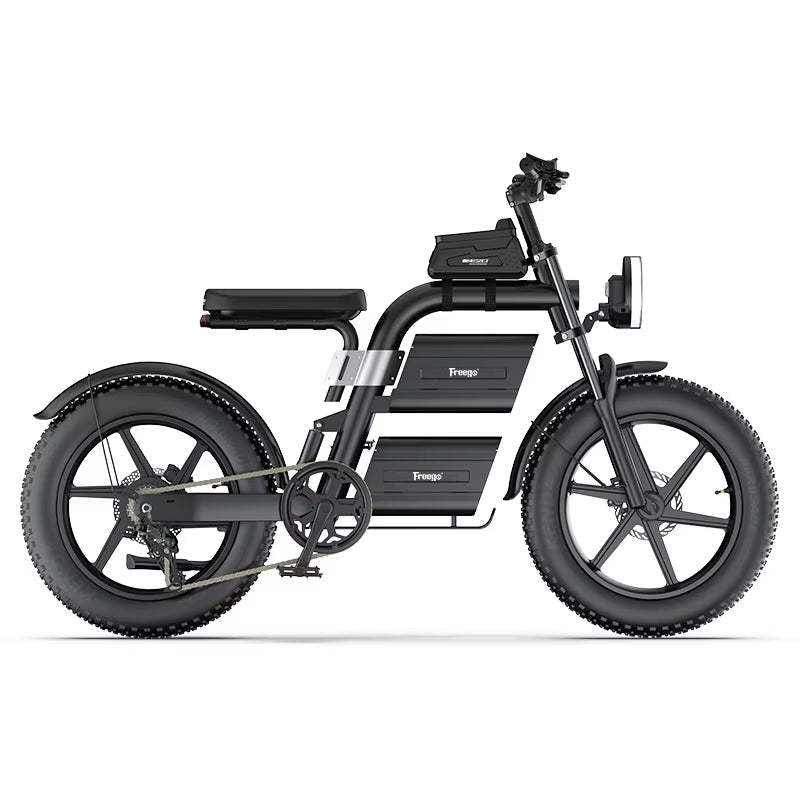 Freego E20 Dual Battery Fat-tire Electric Bike,E20.
