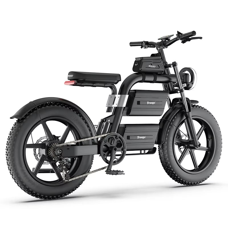 Freego E20 Dual Battery Fat-tire Electric Bike,E20.