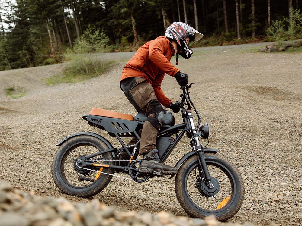 Freego Flash F3 Pro Dual Motor and Battery eBike,Speed: 35 mph,Range: 44–56 mi,F3-g-2.