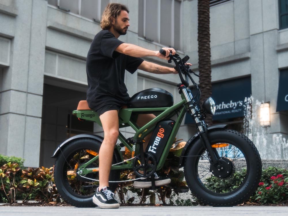 Freego Flash F3 Pro Dual Motor and Battery eBike,Speed: 35 mph,Range: 44–56 mi,F3-g-2.