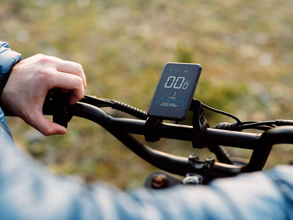 Freego Flash F3 Pro Max Dual Motor and Battery eBike,Range: 55–70 mi,Speed: 20 MPH,F3 pro MAX-b-2.
