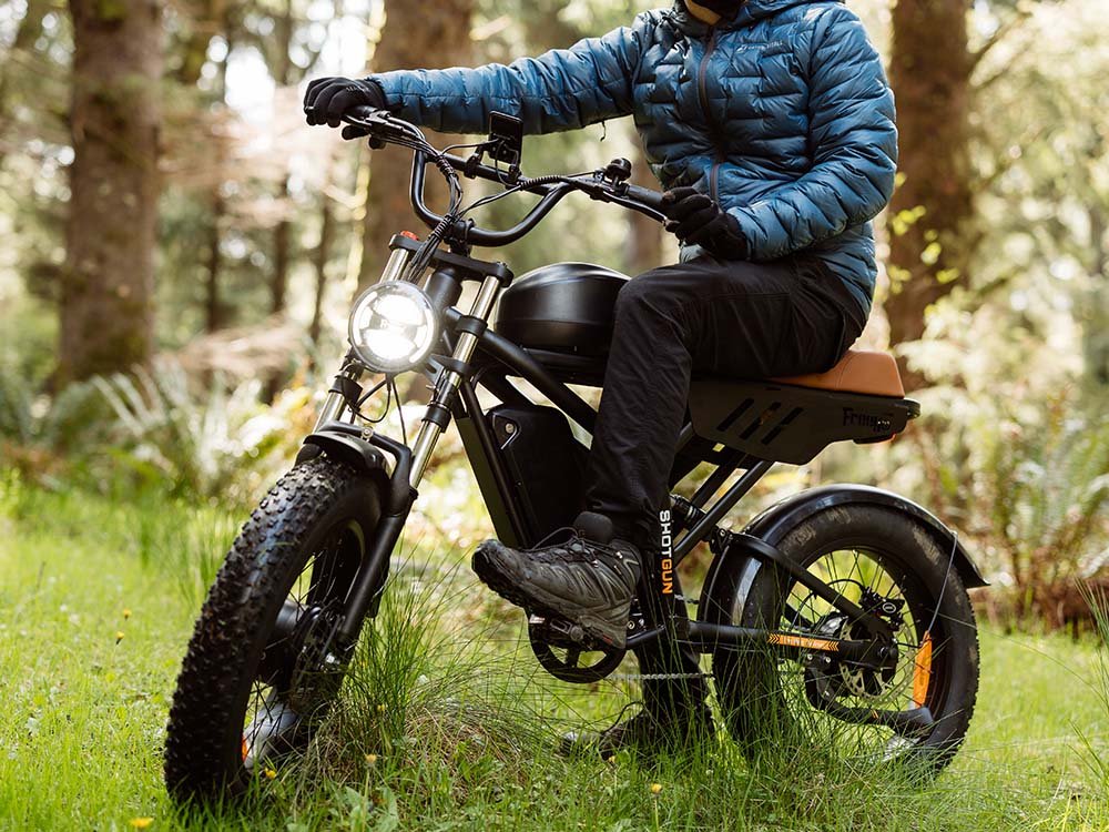 Freego Flash F3 Pro Max Dual Motor and Battery eBike,Range: 55–70 mi,Speed: 20 MPH,F3 pro MAX-b-2.