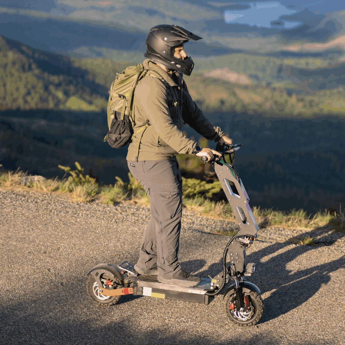 Freego D11 Landtiger Electric Scooter Foldable Dual Motor 4000W, speed 28mph ,Range 50 miles,D11.