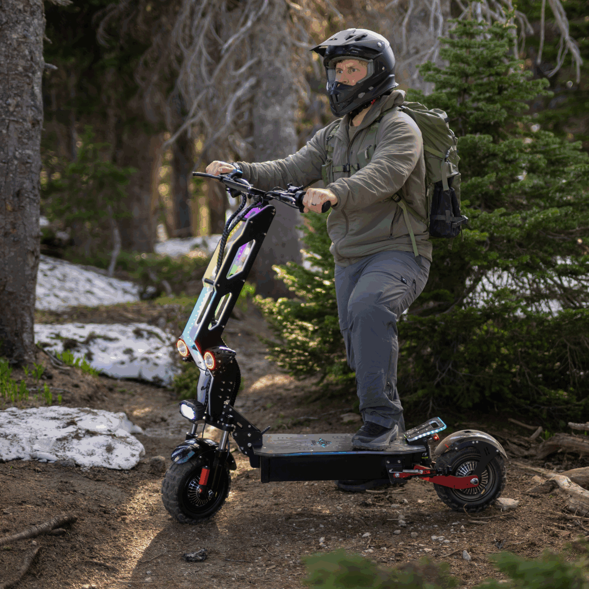 Freego D11 Landtiger Electric Scooter Foldable Dual Motor 4000W, speed 28mph ,Range 50 miles,D11.