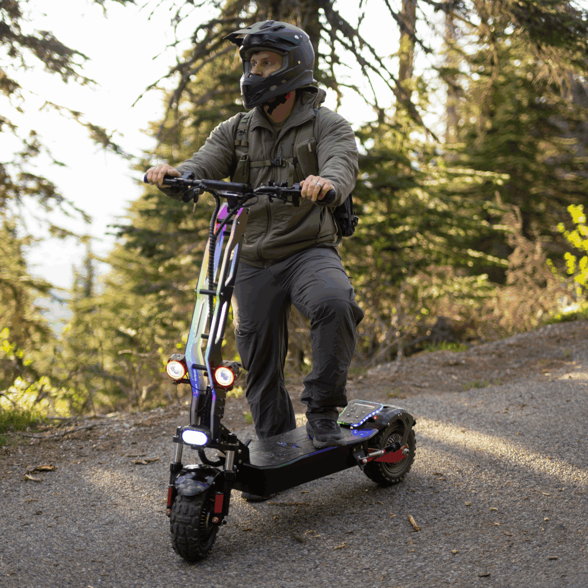 Freego D11 Landtiger Electric Scooter Foldable Dual Motor 4000W, speed 28mph ,Range 50 miles,D11.