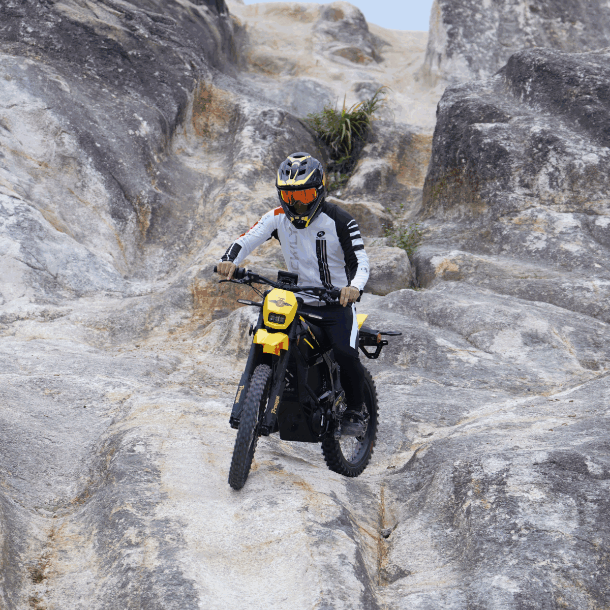 Freego Nova 5 Mid-Drive Off-Road Electric Dirt Bike, speed 53mph (85km/h) , Range 70 miles,Nova5.