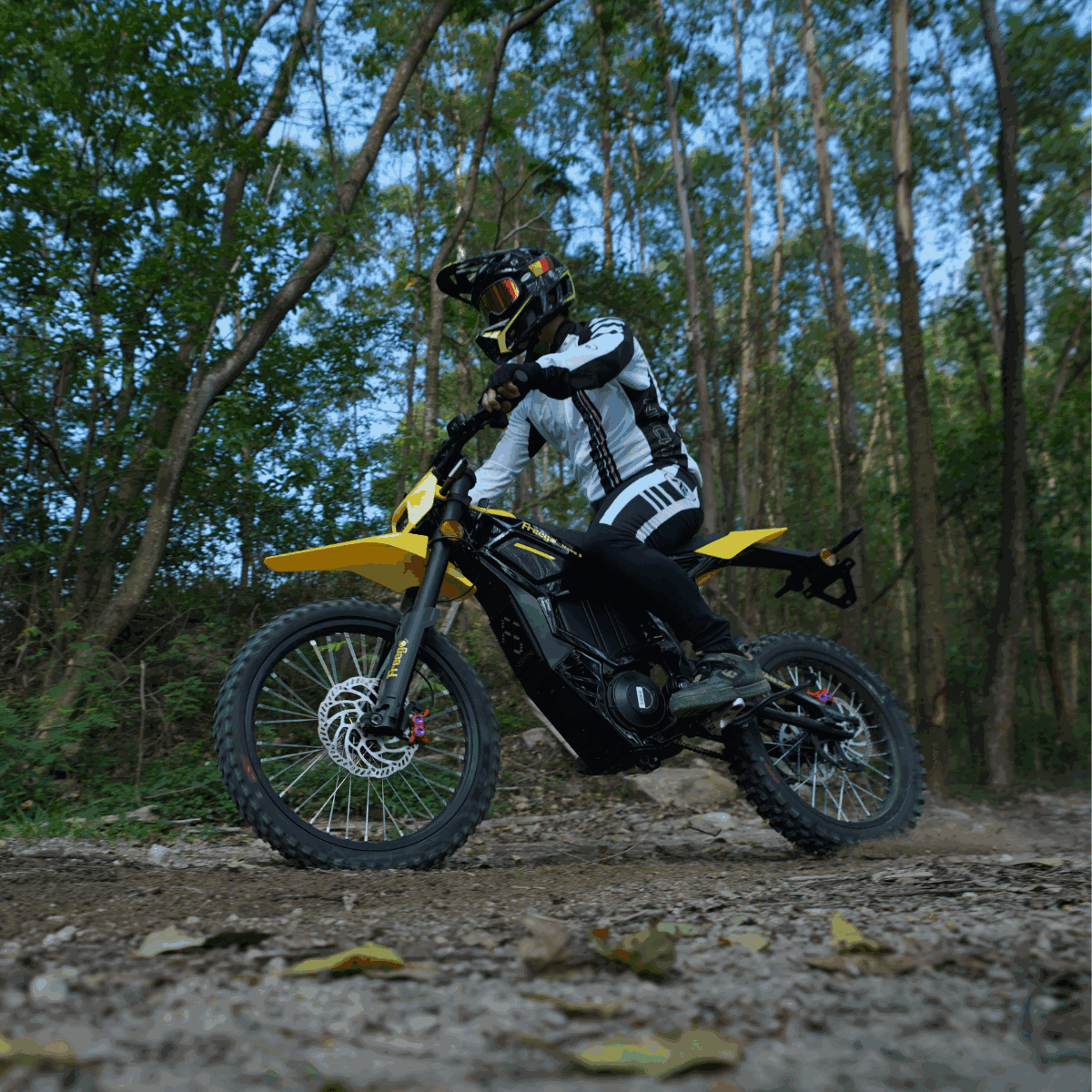 Freego Nova 5 Mid-Drive Off-Road Electric Dirt Bike, speed 53mph (85km/h) , Range 70 miles,Nova5.