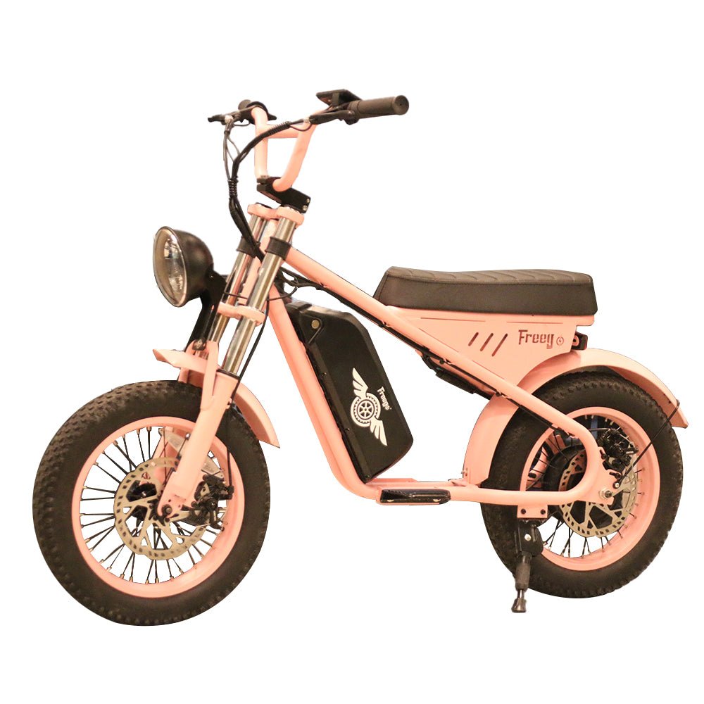 Freego Mini Electric Motorcycle for Child M1,Speed:15 mph,Range:25km-40km,M1.