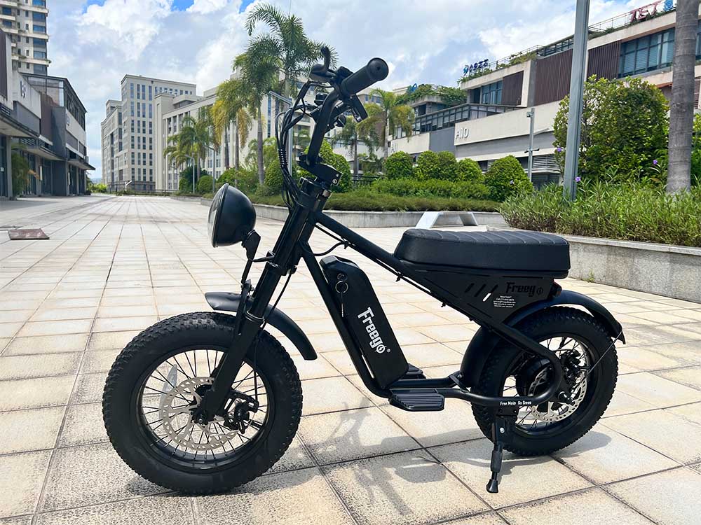 Freego Mini Electric Motorcycle for Child M1,Speed:15 mph,Range:25km-40km,M1.