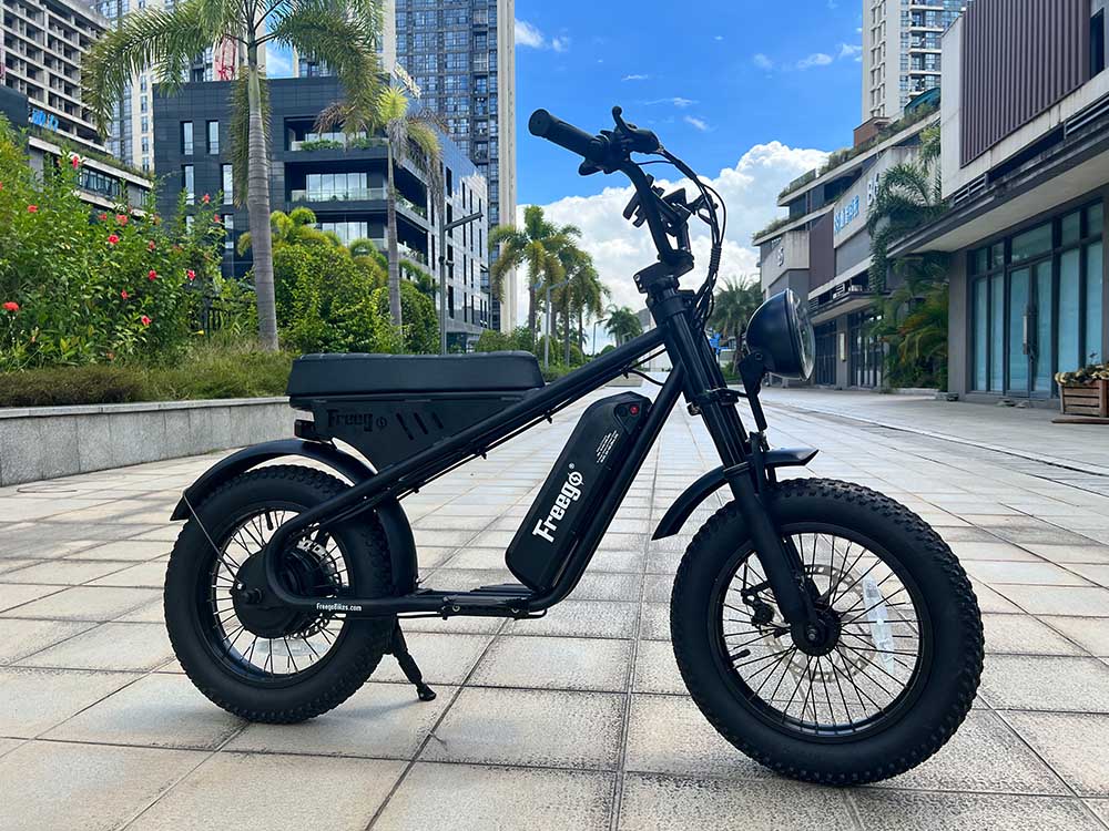 Freego Mini Electric Motorcycle for Child M1,Speed:15 mph,Range:25km-40km,M1.