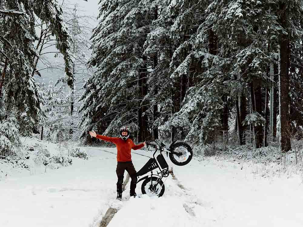 Freego S1 Adventure Electric Motorcycle,Freego-S1.