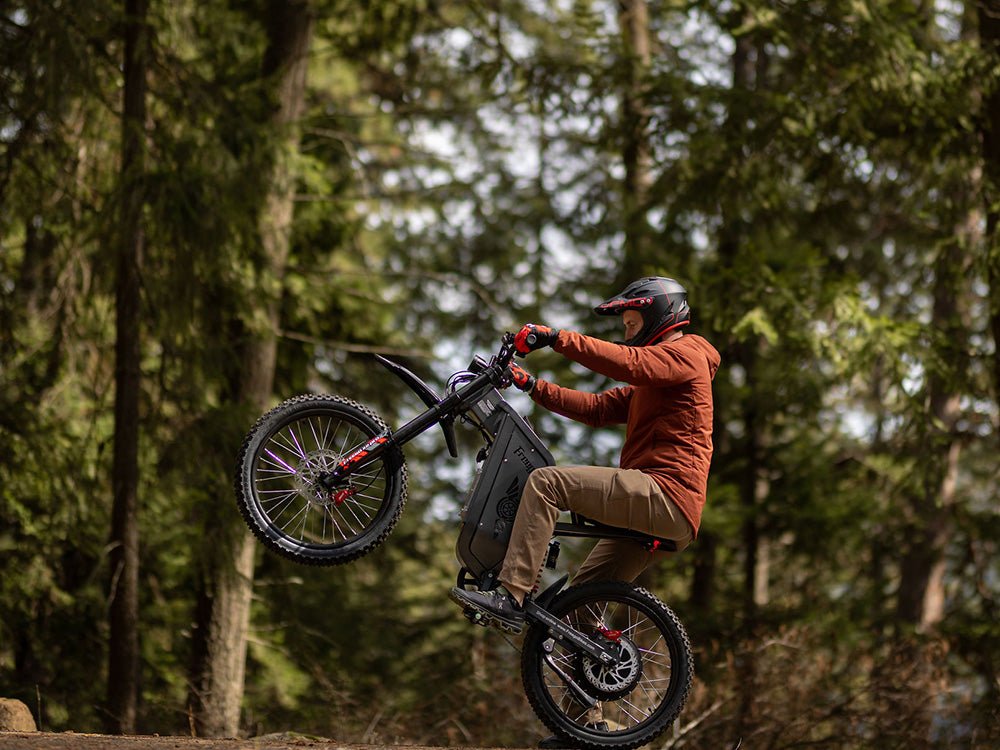 Freego X2 Pro All-Terrain Dirt eBike,Range (km): 37–56 miles,Speed: 50 mph.
