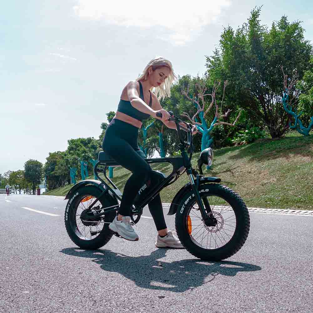 Freego DK200 Off Road Mountain Electric Bike 20'' Fat tires 20Ah Lithium Battery,range (km): 40km -50km,Max Speed: 25km/h,DK200,DK201.