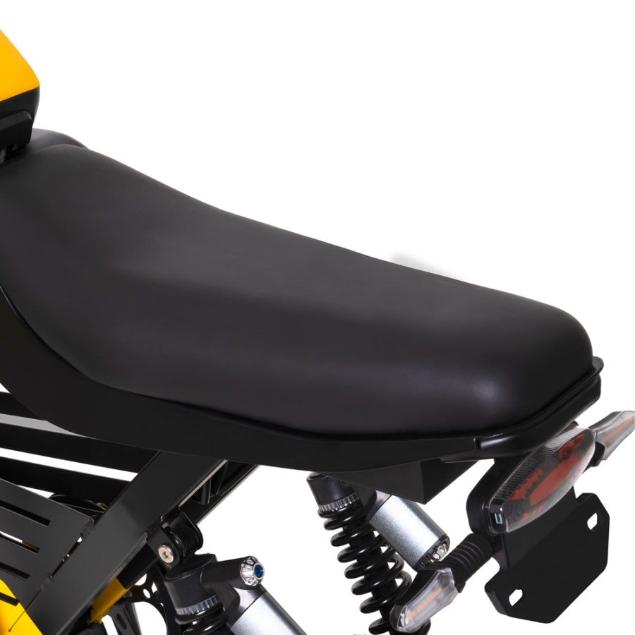 HappyRun 1000W Ebike G100 Dual Batteries