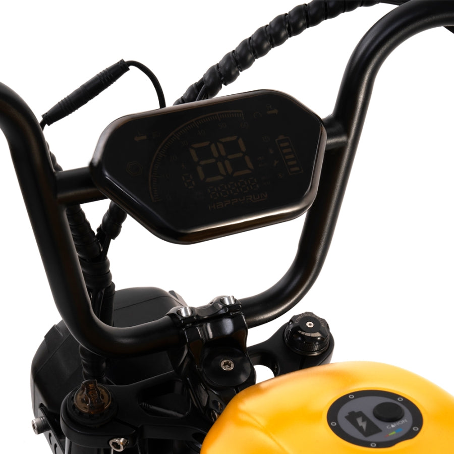 HappyRun 1000W Ebike G100 Dual Batteries