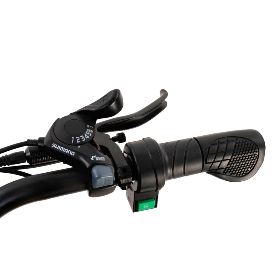 HappyRun 1000W Ebike G100 Dual Batteries